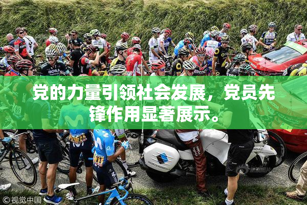 党的力量引领社会发展，党员先锋作用显著展示。