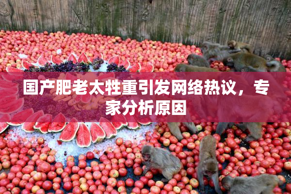 国产肥老太牲重引发网络热议，专家分析原因