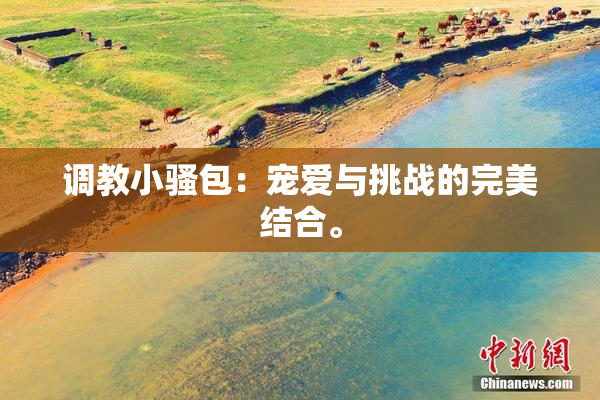 调教小骚包：宠爱与挑战的完美结合。