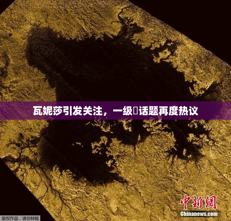 瓦妮莎引发关注，一级婬话题再度热议