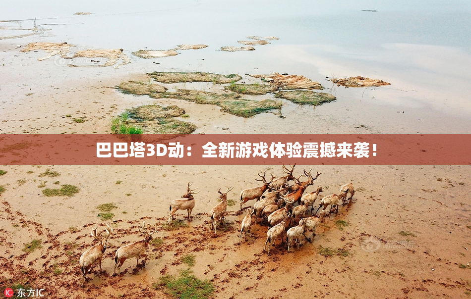 巴巴塔3D动：全新游戏体验震撼来袭！