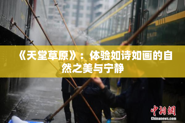 《天堂草原》：体验如诗如画的自然之美与宁静
