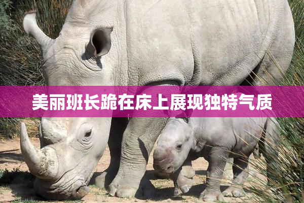 美丽班长跪在床上展现独特气质
