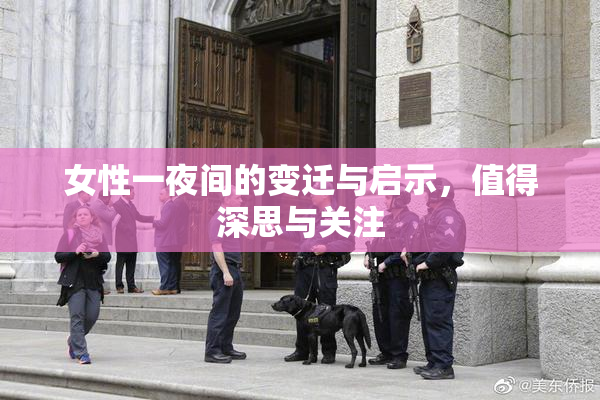 女性一夜间的变迁与启示，值得深思与关注