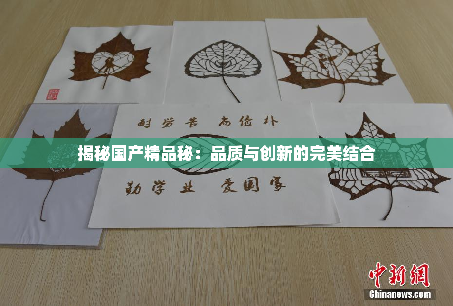 揭秘国产精品秘：品质与创新的完美结合