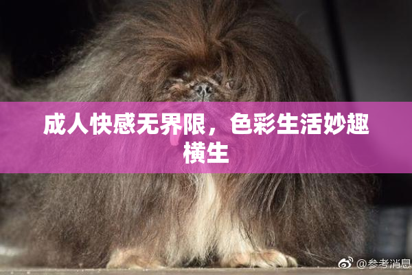 成人快感无界限，色彩生活妙趣横生