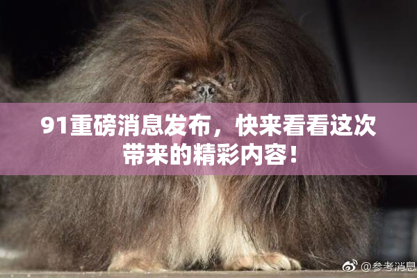 91重磅消息发布，快来看看这次带来的精彩内容！