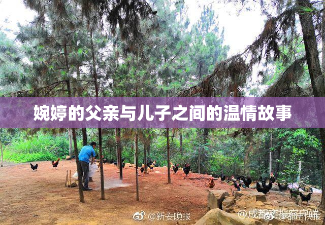 婉婷的父亲与儿子之间的温情故事