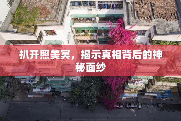 扒开照美冥，揭示真相背后的神秘面纱