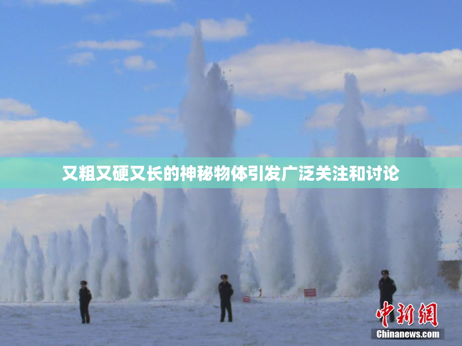 又粗又硬又长的神秘物体引发广泛关注和讨论