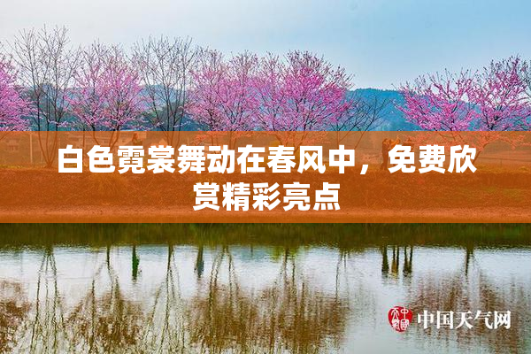 白色霓裳舞动在春风中，免费欣赏精彩亮点