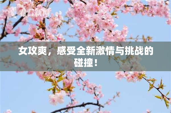 女攻爽，感受全新激情与挑战的碰撞！
