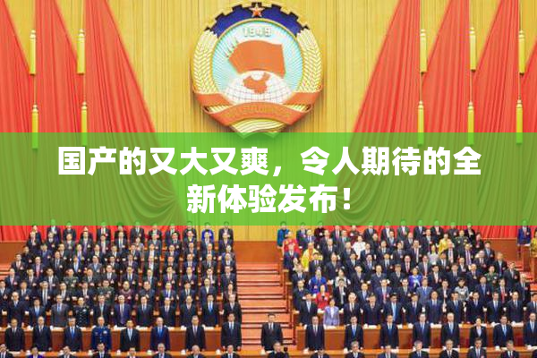 国产的又大又爽，令人期待的全新体验发布！