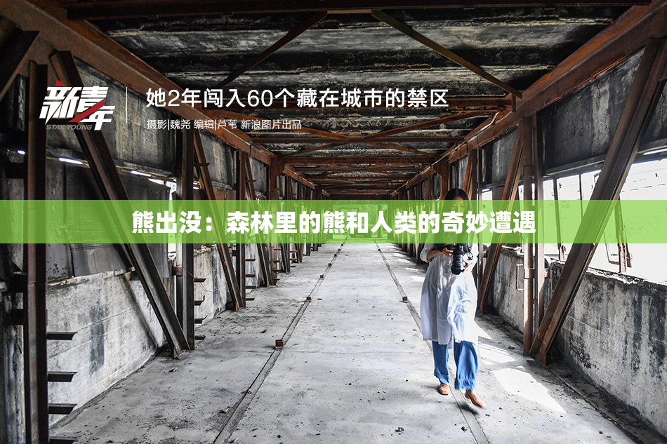 熊出没：森林里的熊和人类的奇妙遭遇