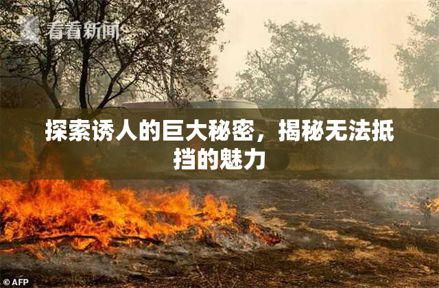 探索诱人的巨大秘密，揭秘无法抵挡的魅力