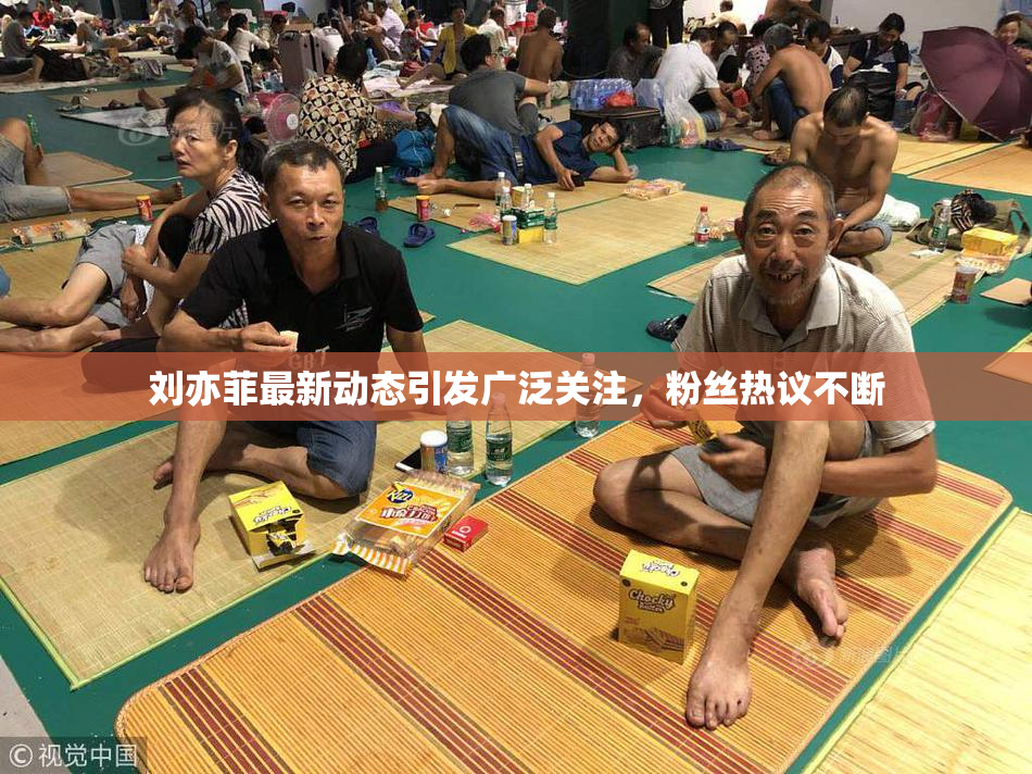 刘亦菲最新动态引发广泛关注，粉丝热议不断