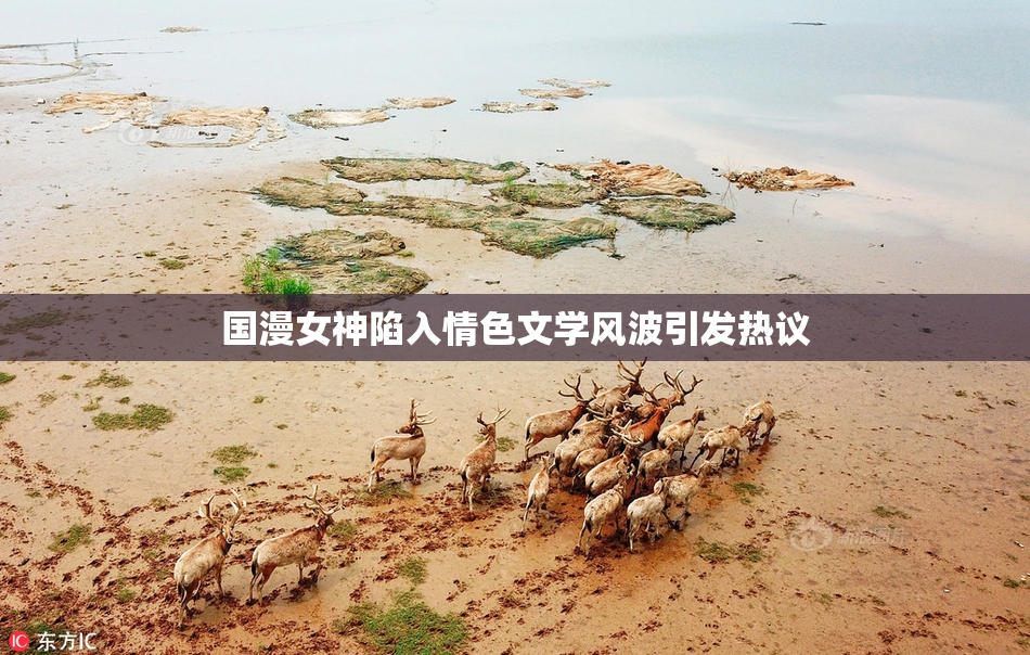 国漫女神陷入情色文学风波引发热议