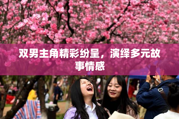 双男主角精彩纷呈，演绎多元故事情感