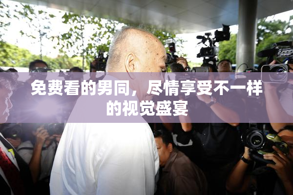 免费看的男同，尽情享受不一样的视觉盛宴