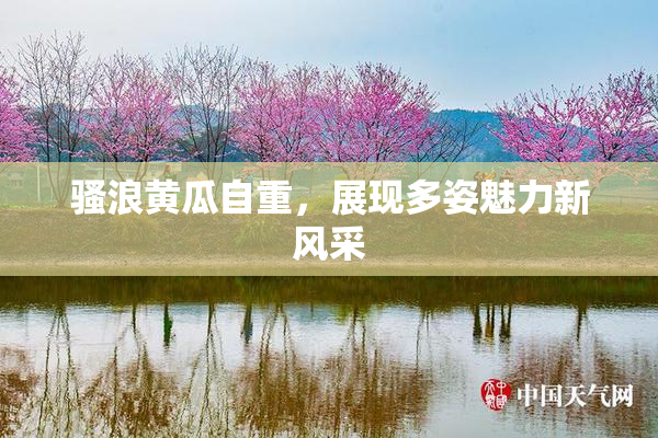 骚浪黄瓜自重，展现多姿魅力新风采