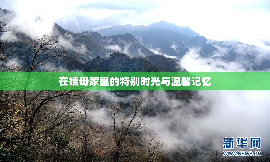在姨母家里的特别时光与温馨记忆