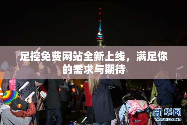 足控免费网站全新上线，满足你的需求与期待