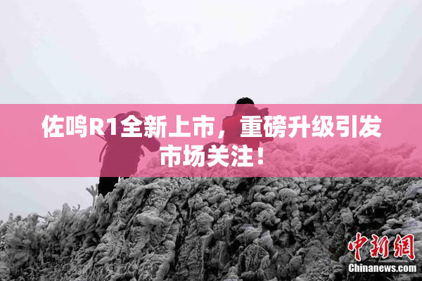 佐鸣R1全新上市，重磅升级引发市场关注！