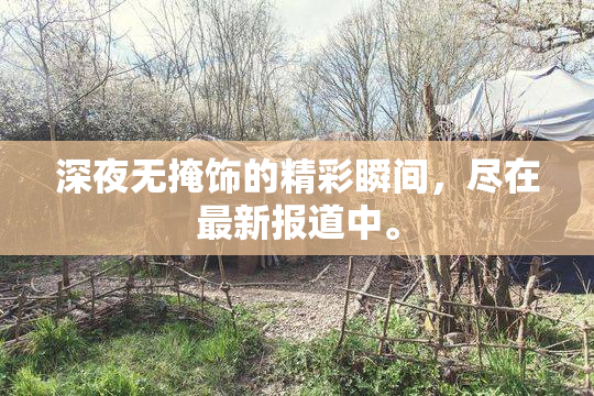 深夜无掩饰的精彩瞬间，尽在最新报道中。