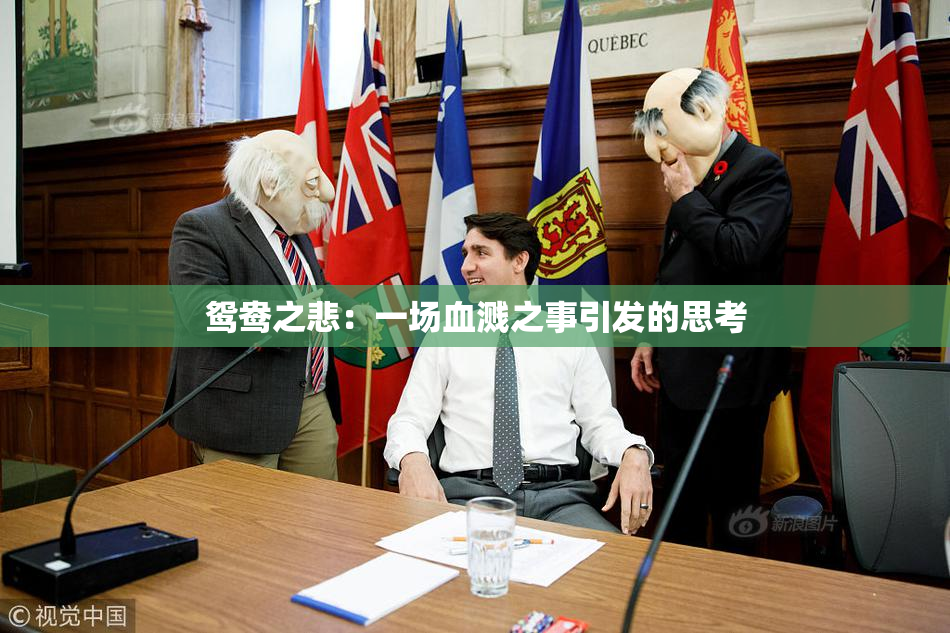 鸳鸯之悲：一场血溅之事引发的思考