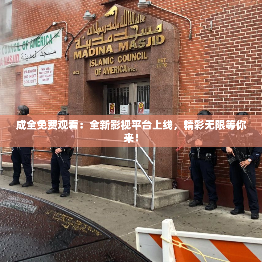 成全免费观看：全新影视平台上线，精彩无限等你来！