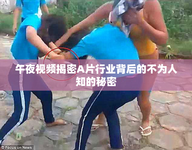 午夜视频揭密A片行业背后的不为人知的秘密