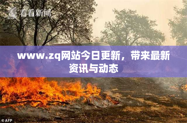 www.zq网站今日更新，带来最新资讯与动态
