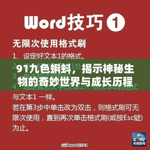 91九色蝌蚪，揭示神秘生物的奇妙世界与成长历程