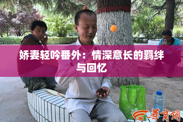 娇妻轻吟番外：情深意长的羁绊与回忆