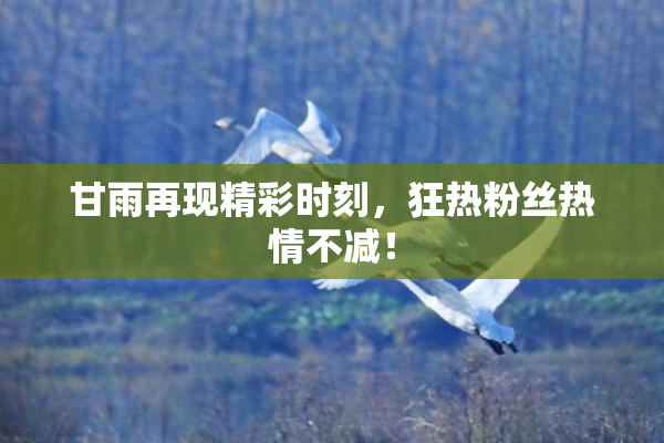 甘雨再现精彩时刻，狂热粉丝热情不减！