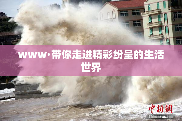 www·带你走进精彩纷呈的生活世界