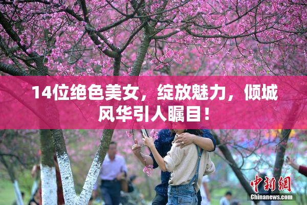 14位绝色美女，绽放魅力，倾城风华引人瞩目！