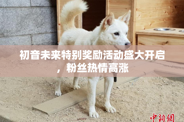 初音未来特别奖励活动盛大开启，粉丝热情高涨