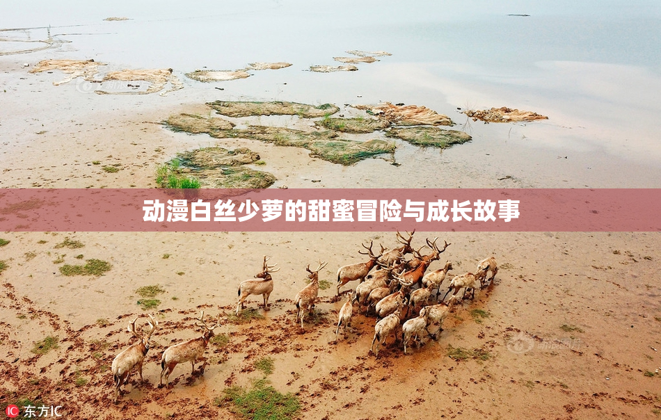 动漫白丝少萝的甜蜜冒险与成长故事