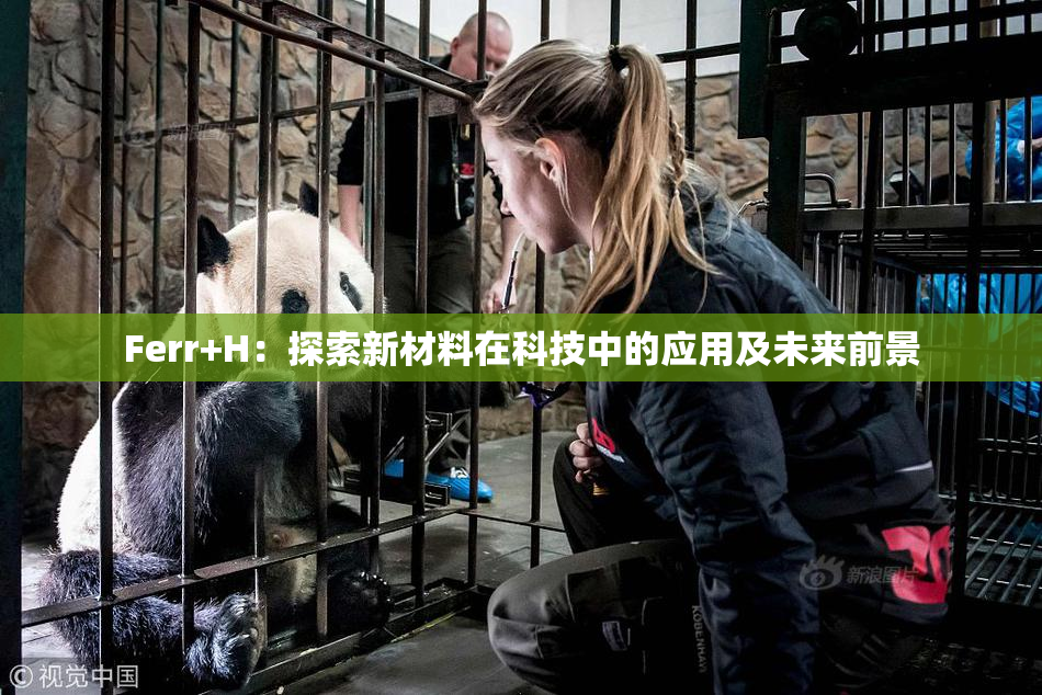 Ferr+H：探索新材料在科技中的应用及未来前景