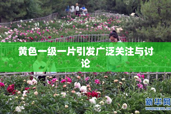 黄色一级一片引发广泛关注与讨论