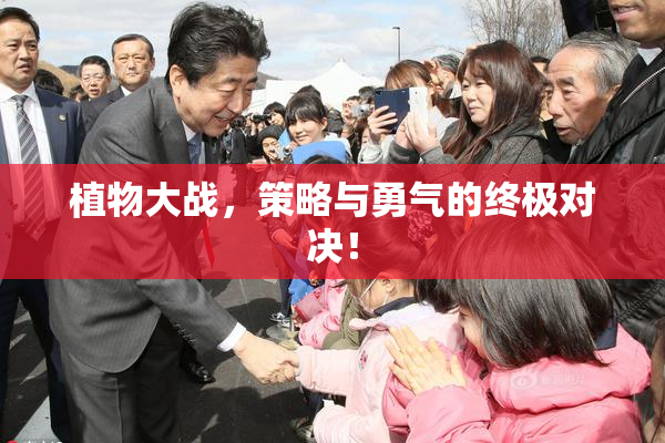 植物大战，策略与勇气的终极对决！