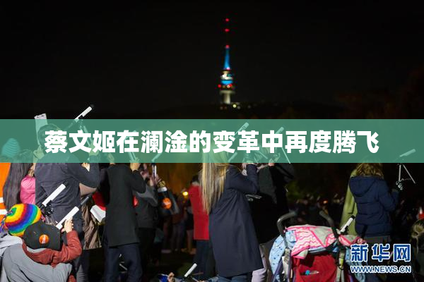 蔡文姬在澜淦的变革中再度腾飞