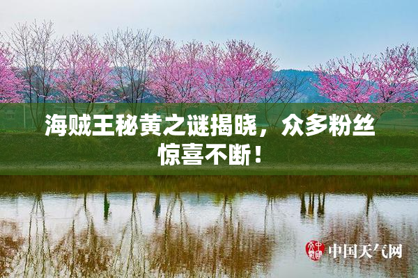 海贼王秘黄之谜揭晓，众多粉丝惊喜不断！