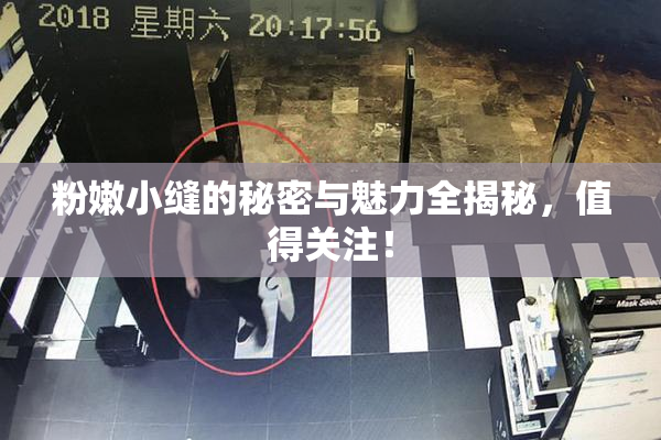 粉嫩小缝的秘密与魅力全揭秘，值得关注！