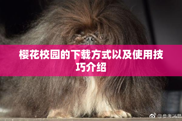 樱花校园的下载方式以及使用技巧介绍