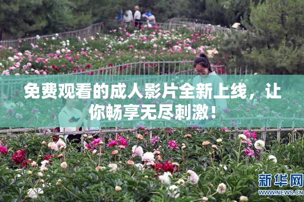 免费观看的成人影片全新上线，让你畅享无尽刺激！
