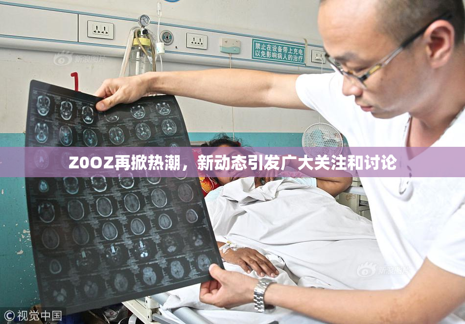 Z0OZ再掀热潮，新动态引发广大关注和讨论
