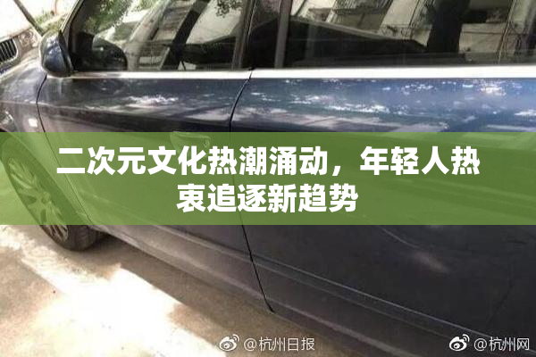 二次元文化热潮涌动，年轻人热衷追逐新趋势