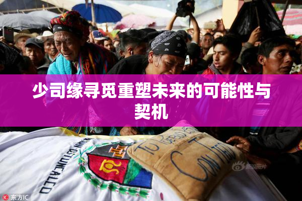 少司缘寻觅重塑未来的可能性与契机